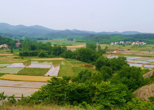 山区水田