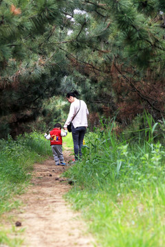 人生道路