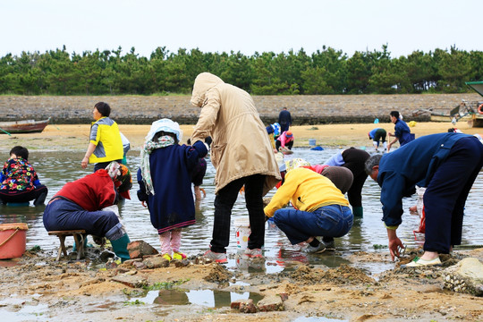 赶海