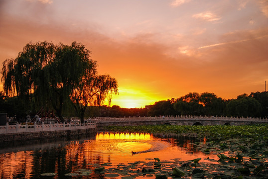 北京北海公园落日