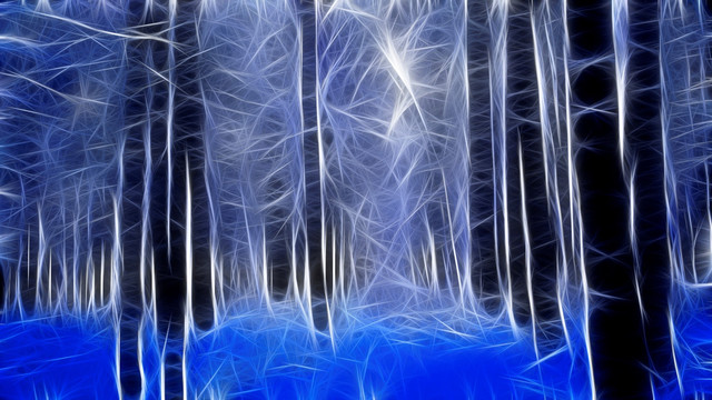 電腦畫 雪松林