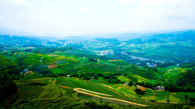 丘陵  山地 庄稼地