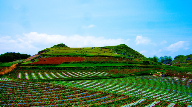 山丘  庄稼地