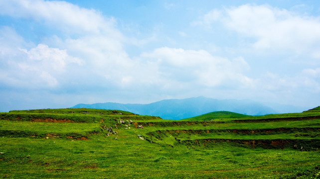 丘陵荒地