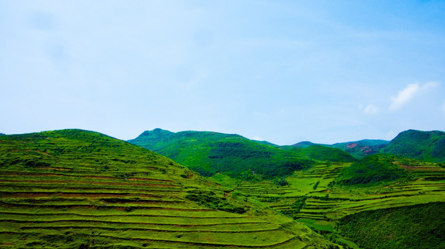 丘陵  山地