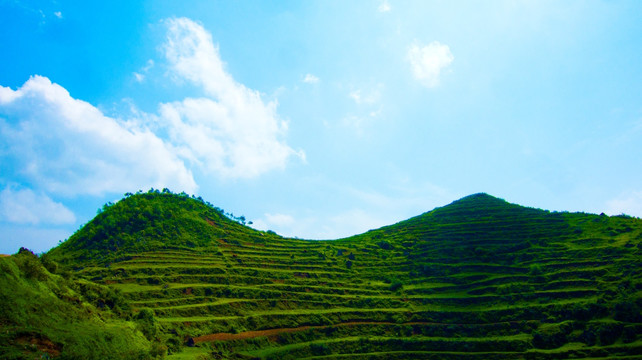 丘陵 山地