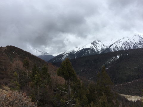 雪山之巅