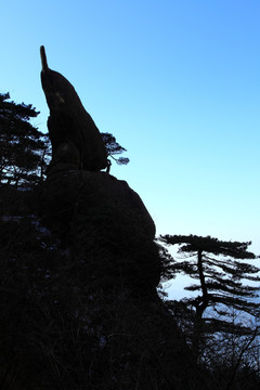 黃山 海豚石
