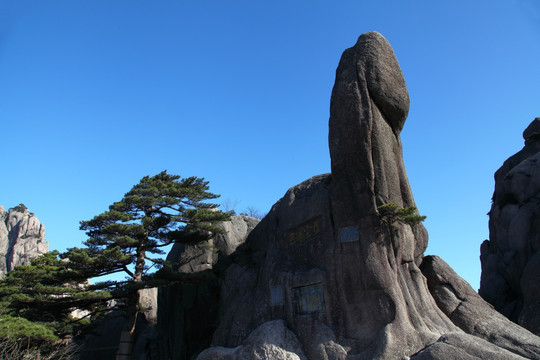 黃山 象鼻石