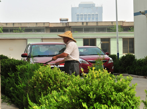 园艺师 修剪草坪