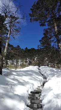 青云梯白雪皑皑