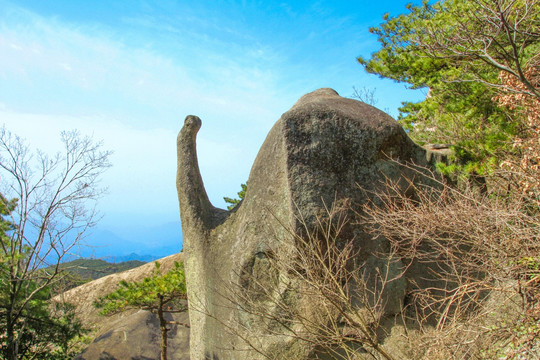 天柱山 象鼻石