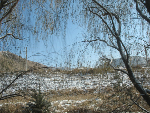 雪野