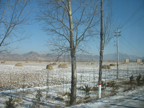 雪野