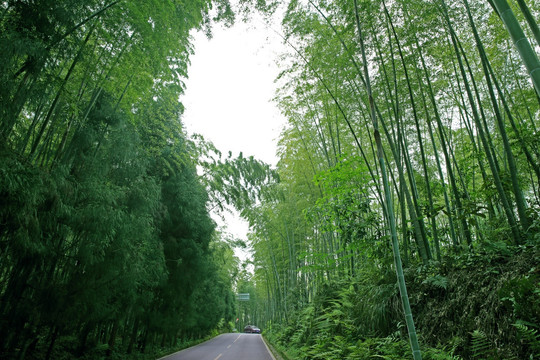 竹林公路