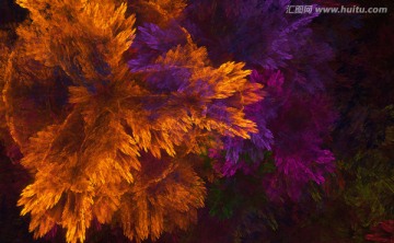 花紋圖案