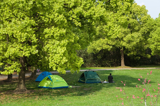 公园帐篷活动