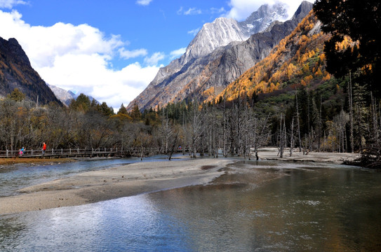 四姑娘山 金秋 雪山 红叶