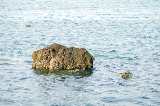 海水礁石