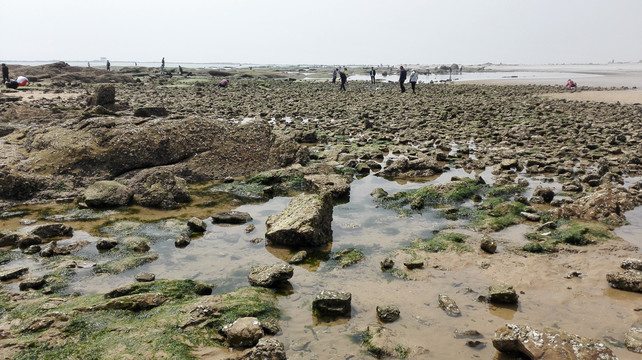 日照第三海水浴场