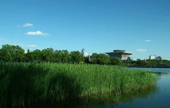 湖景