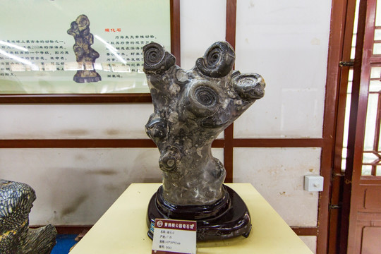 广西螺化石