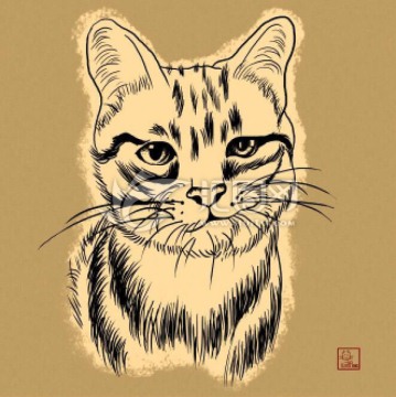 貓咪