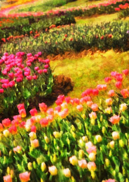 花卉 油畫 抽象畫（無分層）