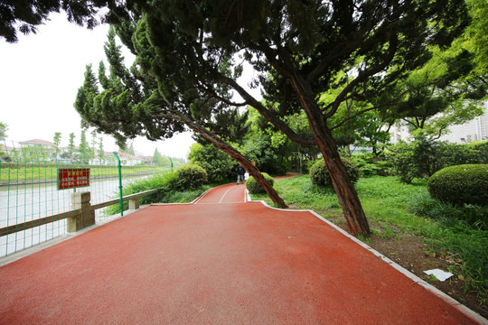 紫藤园 健身步道