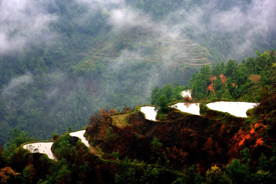 加榜梯田