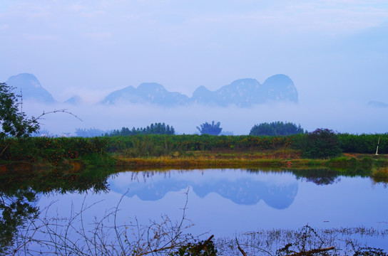 雾景 风景