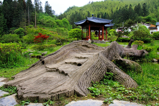 井冈山风景 大井风光