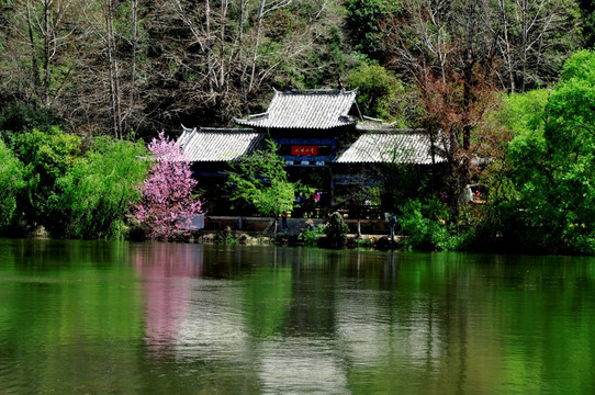 绿岸水影建筑