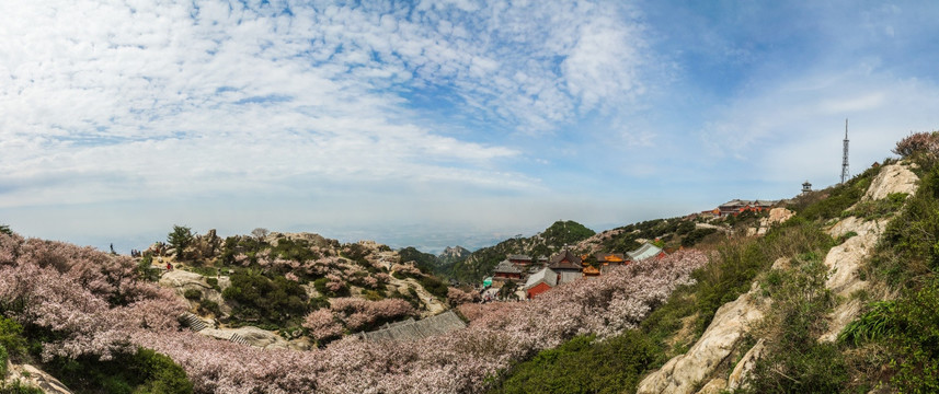 泰山极顶接片宽屏风光