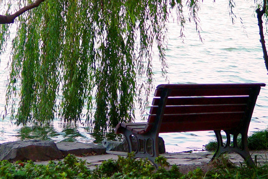 湖畔 休闲椅 垂柳