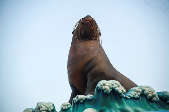 海豹雕像