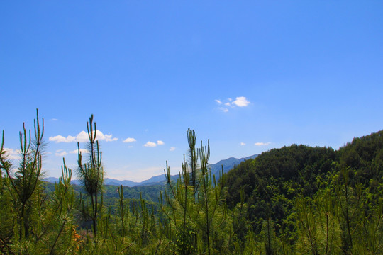 蓝天白云 乡村山景