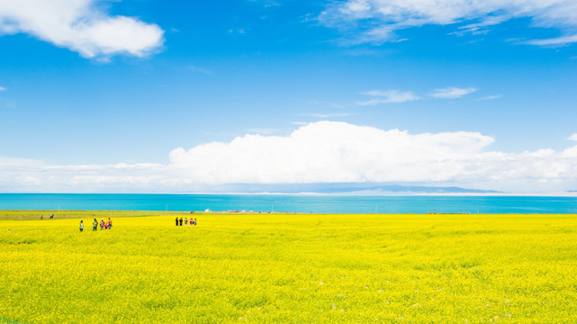 青海湖