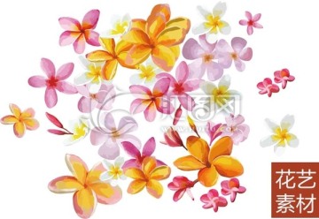 花藝素材