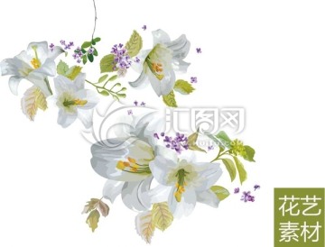 花藝素材