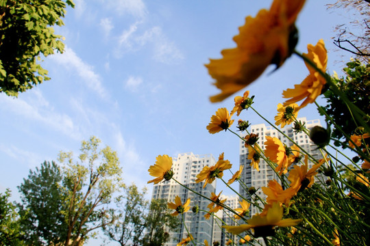 城市环境