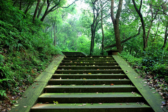 台州温岭牧屿白云山风光