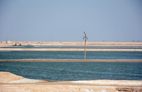 海水养殖