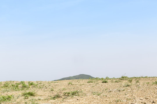 山頂