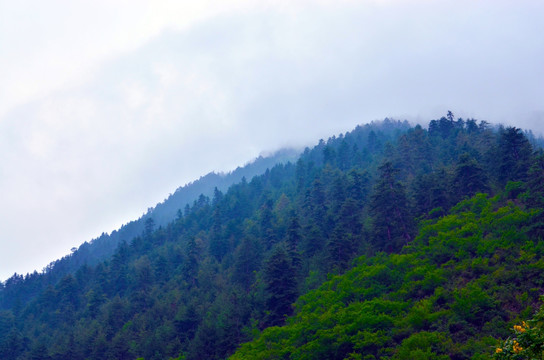 九寨沟风景 山景