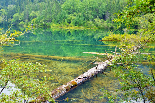 九寨沟风景 九寨沟湖面