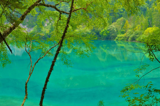 九寨沟风景 九寨沟湖面