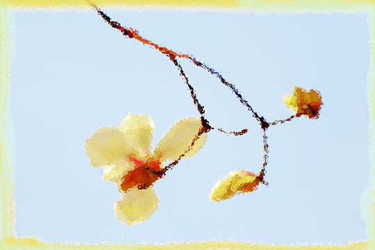 玉蘭花油畫