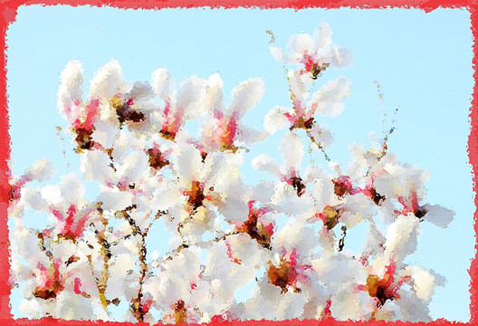 玉蘭花油畫