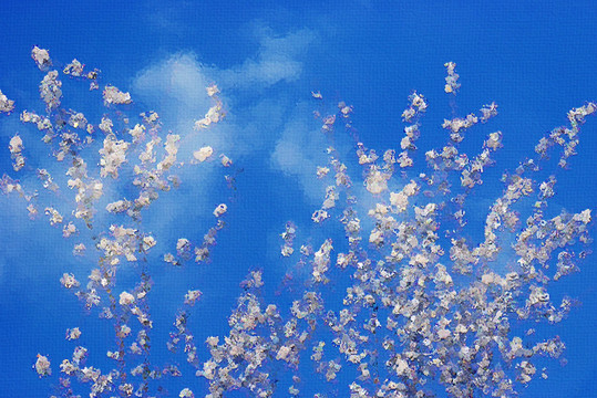 桃花油畫
